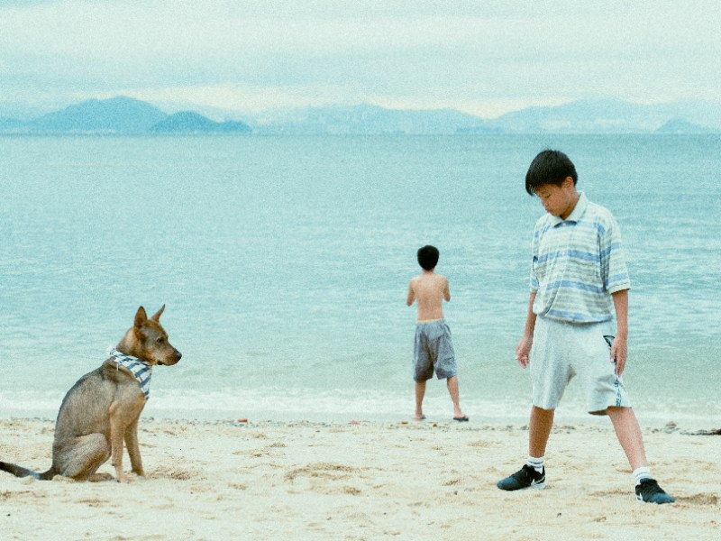電影推介：浪映画電影《野草》🌿 ｜二月流動公映最終回